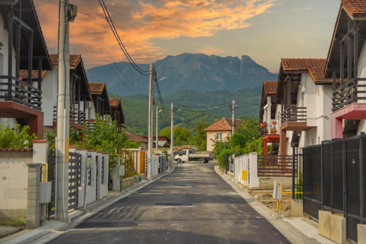 Casa Gabrielle Villa Călimăneşti Kültér fotó